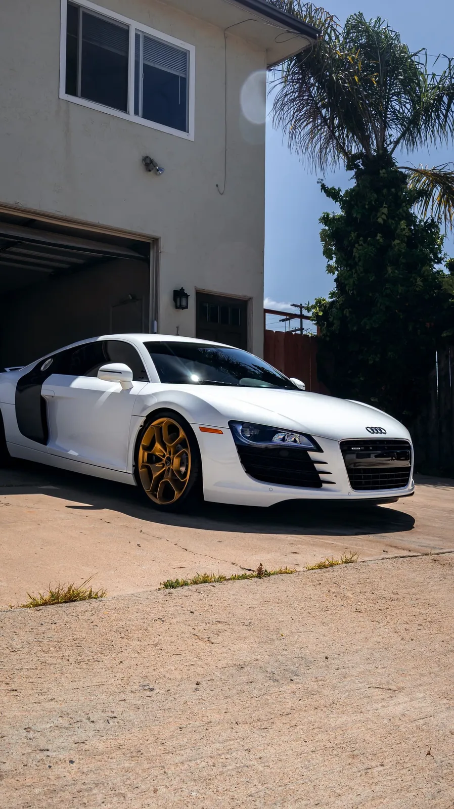 Glossy, ceramic-coated Audi R8 exterior