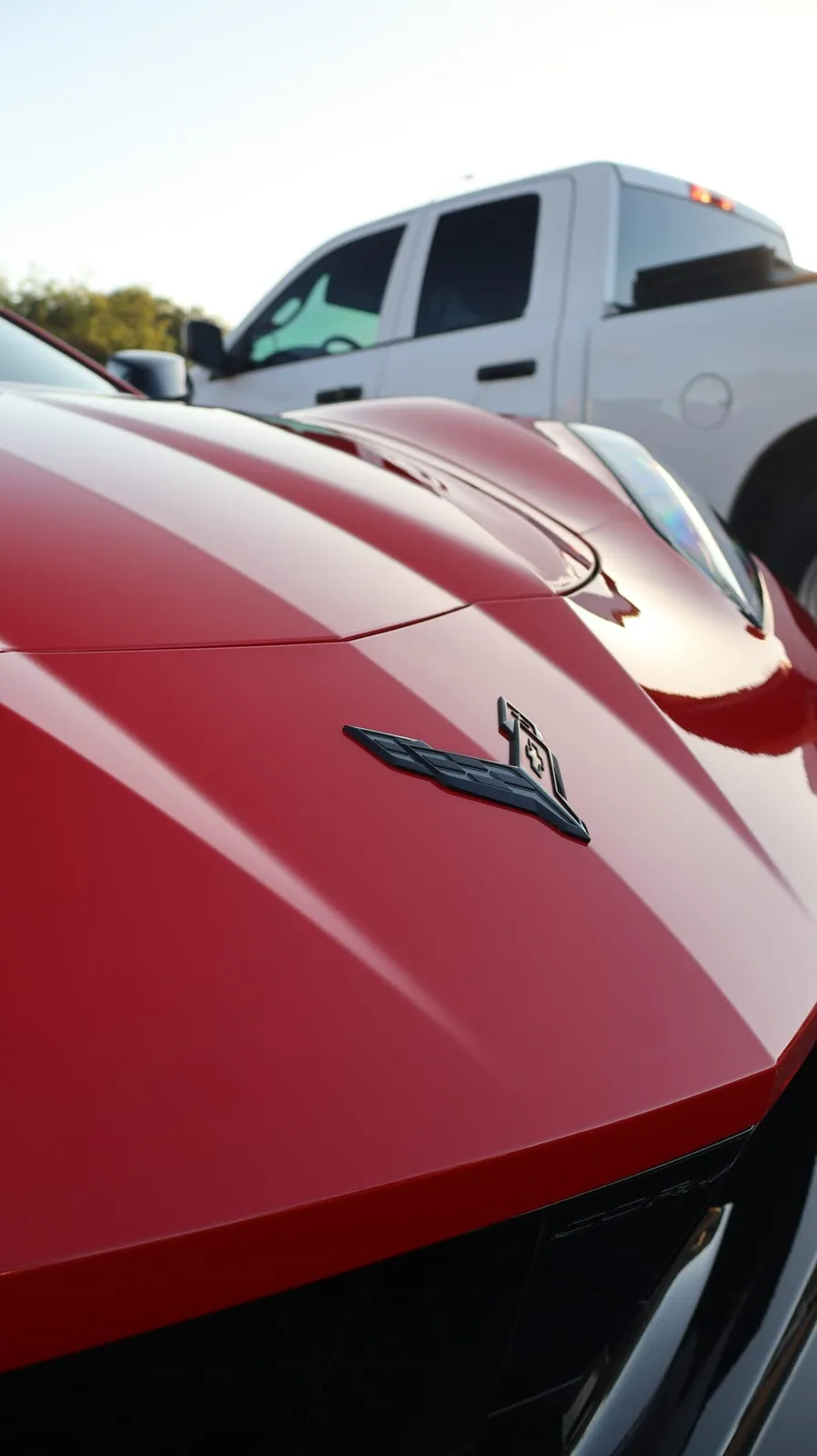Glossy, corrected paint finish after professional paint correction