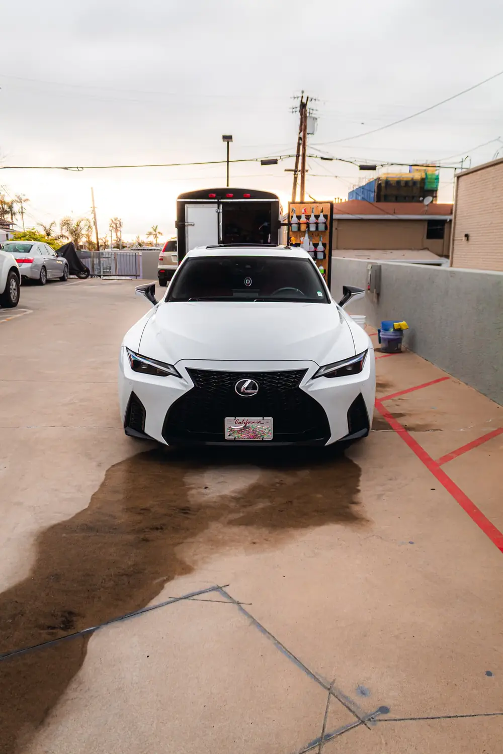 Mira Mesa paint correction: white Lexus IS parked on a wet driveway after a wash